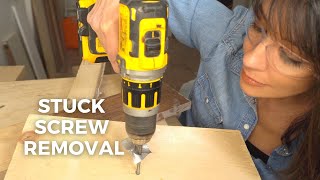 Stuck Screw Removal  5 BEST Ways to Remove Stripped Screws [upl. by Adekan]