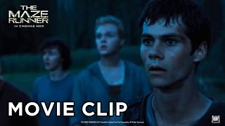 THE MAZE RUNNER Clip  quotThomas Goes Into The Mazequot 2014 [upl. by Narton93]