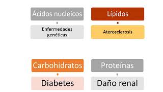 BIOQUÍMICA PARA VETERINARIOS INTRODUCCIÓN [upl. by Arais]