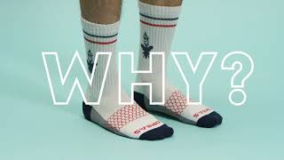 Most Important Socks In the World [upl. by Ocko]