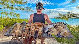 Spearfishing in Crystal Clear Water in the Bahamas [upl. by Oigaib]