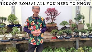 Indoor Bonsai All You Need To Know [upl. by Enerehs655]