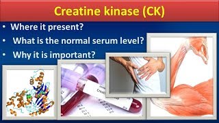 Creatine KinaseCKClear overview [upl. by Lovich844]