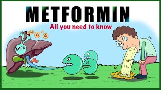 Metformin Uses Mechanism of action Side effects Contraindications [upl. by Nmutua]