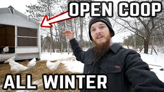 Winter Chicken Guide  NO Heat Open Air Coop amp Cold Weather Tips [upl. by Aimil286]