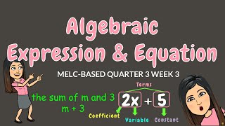 ALGEBRAIC EXPRESSIONS amp EQUATIONS  GRADE 6 [upl. by Gloriane]