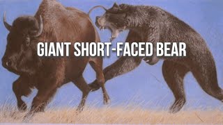 Arctodus The “ShortFaced Bear” is Misunderstood [upl. by Trina242]