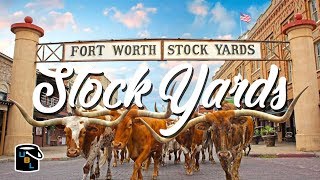 Fort Worth Stockyards  Cowboy Experience [upl. by Kraul434]