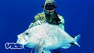 Spearfishing in Australia [upl. by Vida]