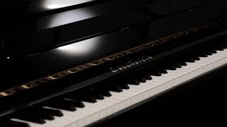 Discover the C Bechstein Elegance 124 [upl. by Lovato]