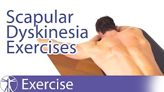 Best Scapular Dyskinesis  Dyskinesia Exercises [upl. by Trelu]