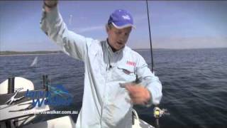 How to Catching baitfish on Sabiki rigs [upl. by Aicertap73]