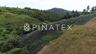 This is Piñatex® [upl. by Acilgna889]