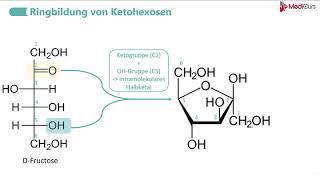 Ringbildung von AldohexosenKetohexosen [upl. by Cos]