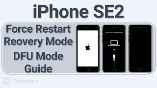 iPhone SE 2 2020 How to Force Restart Recovery Mode DFU Mode [upl. by Stauffer979]