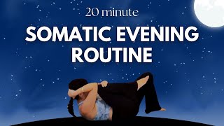 Somatic Evening Routine [upl. by Veedis]