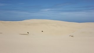 Formation of Sand Dunes Coastal Processes Part 5 of 6 [upl. by Pen367]