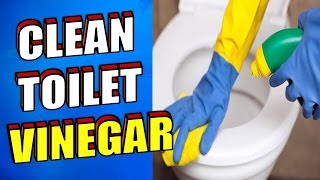 How To Clean A Toilet With Vinegar [upl. by Elleon]