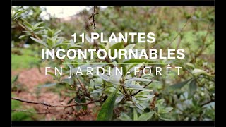 11 plantes incontournables ou presque en JardinForêt [upl. by Veta]