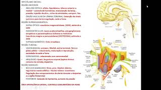 VÍDEO AULA DE HIPOTÁLAMO PARTE 2 NÚCLEOS HIPOTALÂMICOS [upl. by Ajram]