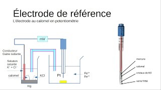 Electrode au calomel constitution théorie [upl. by Hgielram398]