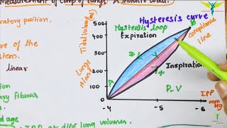 Pulmonary Compliance  lung Compliance  Physiology [upl. by Natsuj461]