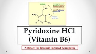 Pyridoxine HCl Vitamin B6 uses antidote effects mechanism indications and ADRs ☠ [upl. by Azerila248]