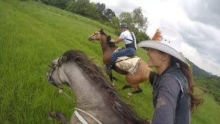 Epic horse galloping with GoPro by KristyM Ranch [upl. by Edik]