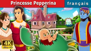 Princesse Pepperina  Princess Pepperina Story  Contes De Fées Français [upl. by Eneliak]