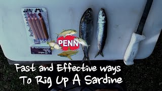 Fastest ways to Rig a sardine [upl. by Jaunita346]