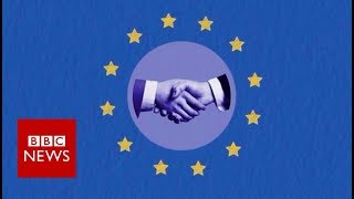 What is the EU customs union  BBC News [upl. by Drislane]