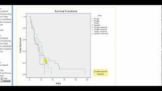 SPSS for medics KaplanMeier survival curve analysis [upl. by Aikal827]