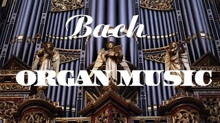 Bach  The Best Organ Music [upl. by Edecrem]