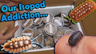 Unboxing 1000 Worth of Isopods [upl. by Gershon319]