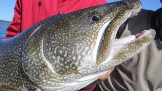 Lake Trout Jigging Techniques That Guides Dont Want You to Know [upl. by Piane]