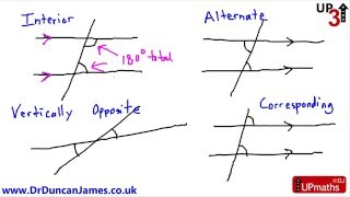 Interior Alternate Vertically Opposite and Corresponding Angle Definitions [upl. by Arv]