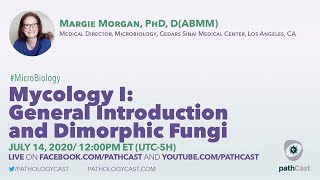 Mycology I General Introduction and Dimorphic Fungi  Dr Morgan Cedars Sinai MICROBIOLOGY [upl. by Les983]