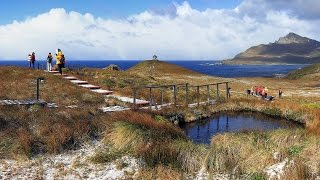 Cape Horn  Australis Cruise  Highlights [upl. by Crawford]