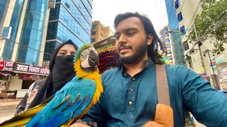 Finally a day with Macaw Bird ❤️😍 [upl. by Ganny]