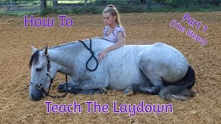 How To Teach Your Horse The ‘Laydown Part 1 No RopesNo Force [upl. by Riannon]