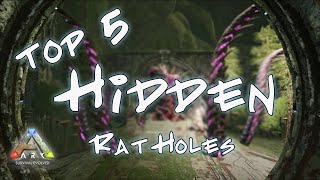 Top 5 Rat Holes Aberration Ark Hidden Base Locations [upl. by Ganley307]