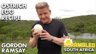 Gordon Ramsay Makes OSTRICH Scrambled Eggs In South Africa  Scrambled [upl. by Aeriela917]