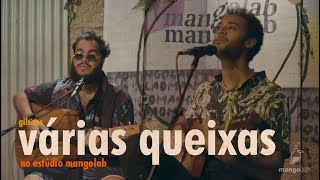 Gilsons  Várias Queixas Ao Vivo no Estúdio MangoLab [upl. by Hussey]