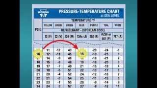 How to Use a PT Chart [upl. by Boaten]