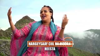 FARXIYA FISKA  HARGEISAAY CIIL HA MUDAN  MUUQAAL LAYAAB LEH  HORNSAT MUSIC SHOW LIVE [upl. by Okomom495]