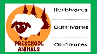 Herbivore Carnivore Omnivore Animals [upl. by Ydeh]