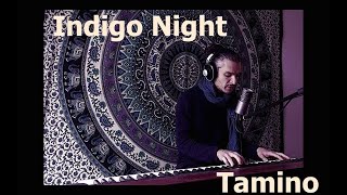 Indigo Night  Tamino Cover [upl. by Isus]