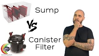 Aquarium Sumps vs Canister Filters [upl. by Saul]