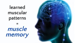 What is Somatics  Thomas Hannas Clinical Somatic Education [upl. by Becka]