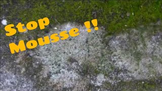 Comment enlever la mousse sur ma terrasse [upl. by Lumpkin347]